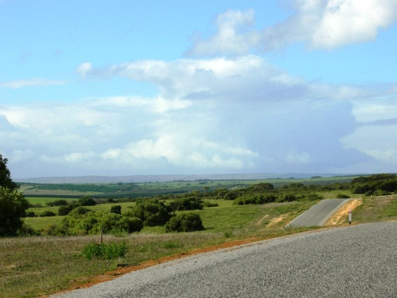 347 Hakea, Nilgen WA 6044