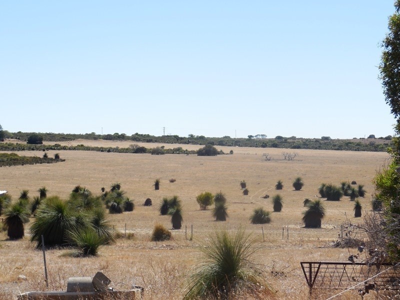 80 Banksia Way, Nilgen WA 6044