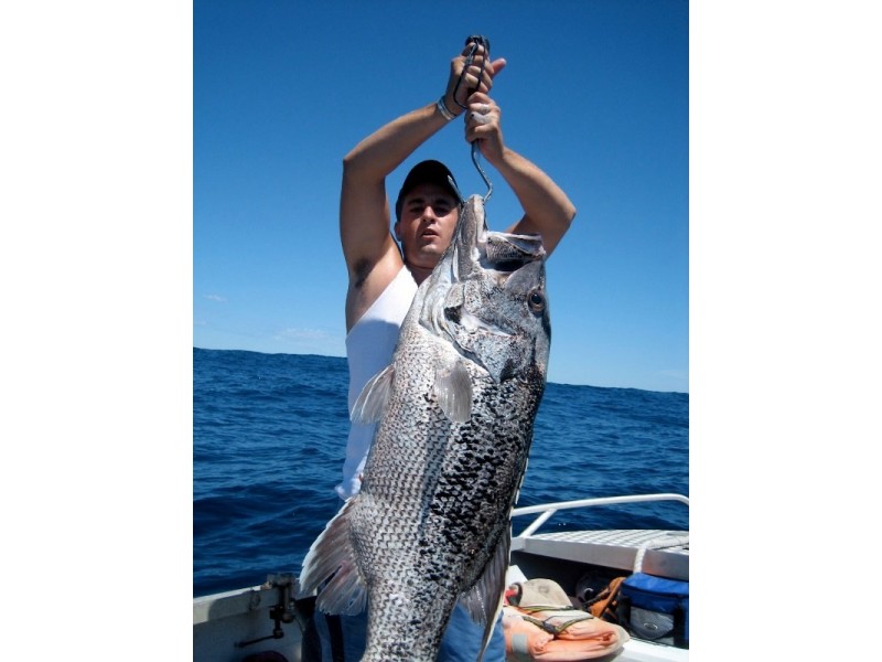 16 Wedge Street, Ledge Point WA 6043