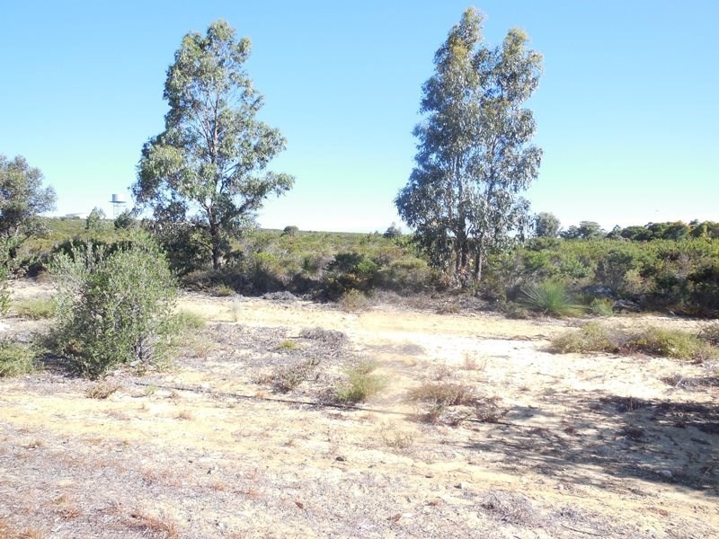 204 Olive Grove, Karakin WA 6044