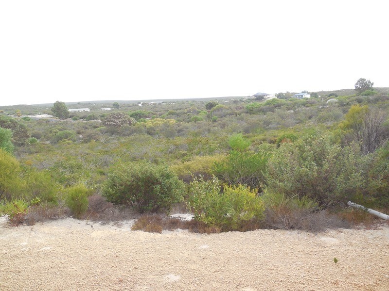 165 Indiana Crescent, Karakin WA 6044