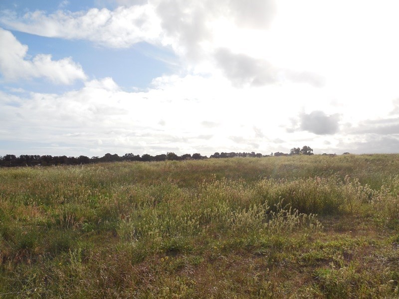Lot 356 Hakea Court, Lancelin WA 6044