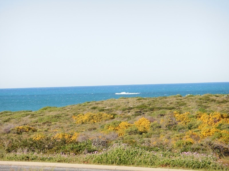 5 Larwood Elbow, Seabird WA 6042