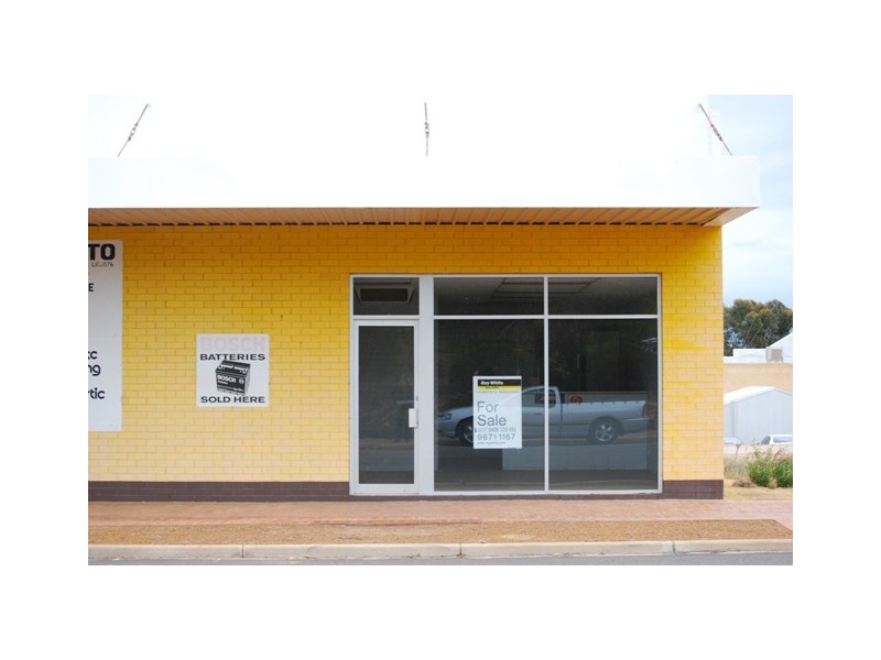 4 – 6 Elphin Crescent, Wongan Hills WA 6603