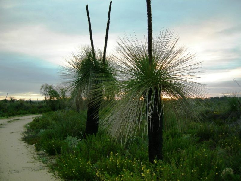 503 Ocean Farm Drive, Nilgen WA 6044