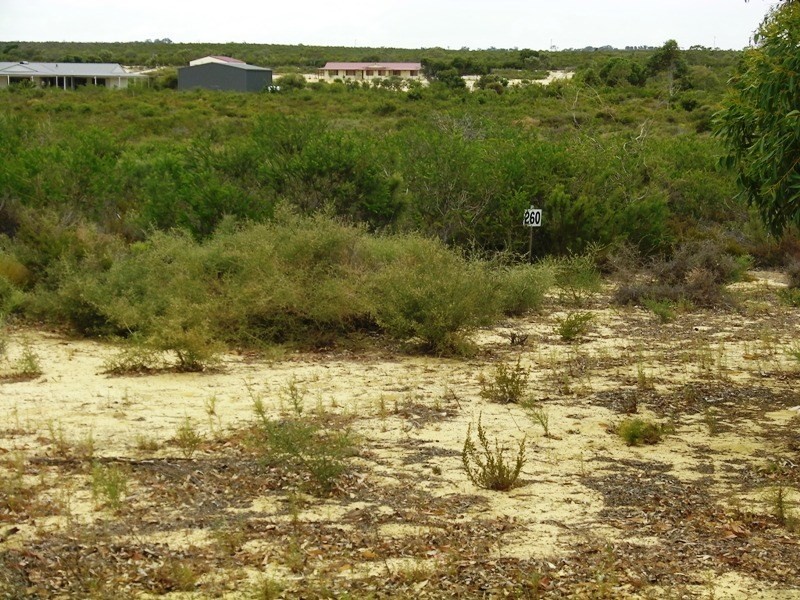 L260 Seaview Drive, Lancelin WA 6044
