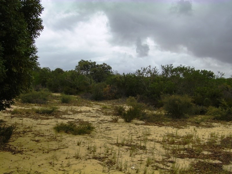 L260 Seaview Drive, Lancelin WA 6044