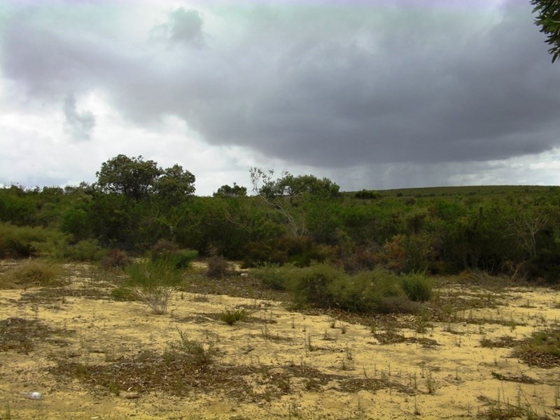 L260 Seaview Drive, Lancelin WA 6044