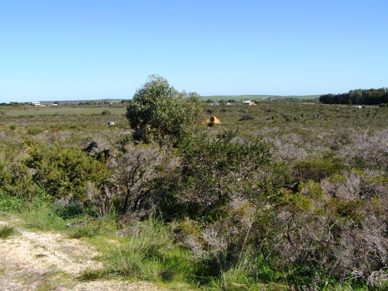 259 Tamarisk, Gabbadah WA 6041