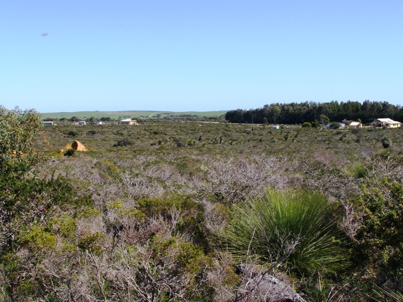 259 Tamarisk, Gabbadah WA 6041