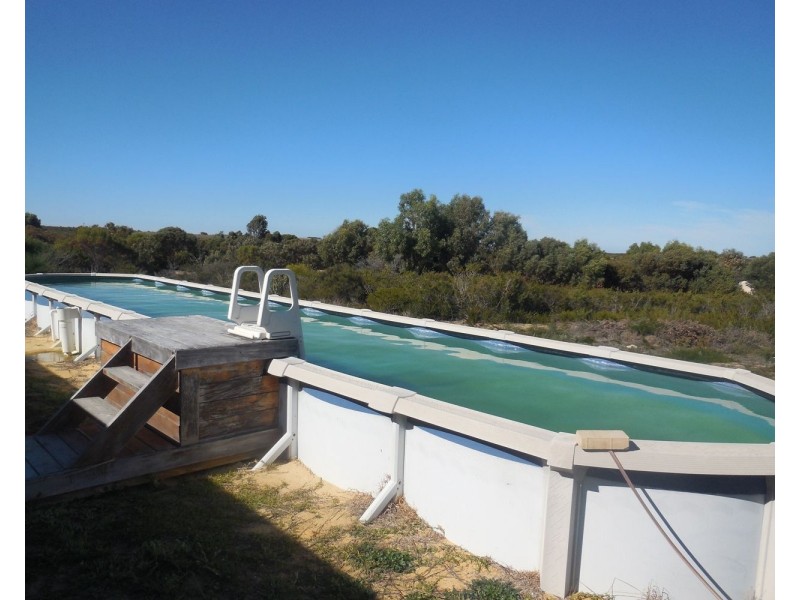 18 REDHEART, Karakin WA 6044