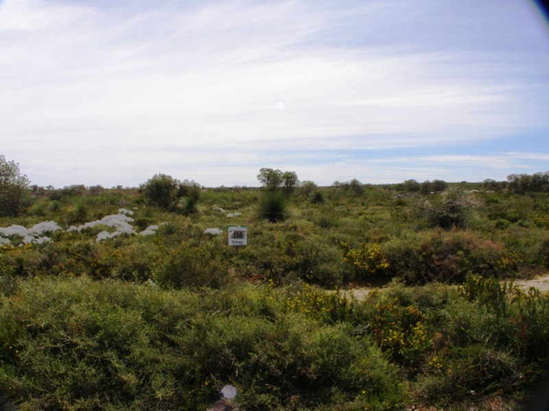 156 Melaluca, Gabbadah WA 6041