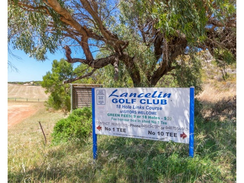 17 Revilo Street, Lancelin WA 6044
