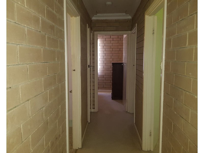 3 Wedge Avenue, Lancelin WA 6044