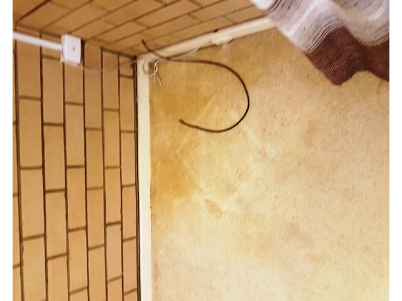 3 Wedge Avenue, Lancelin WA 6044