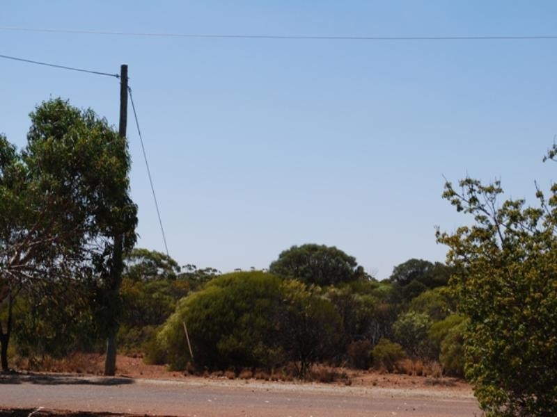 2 Bell Steet, Dalwallinu WA 6609