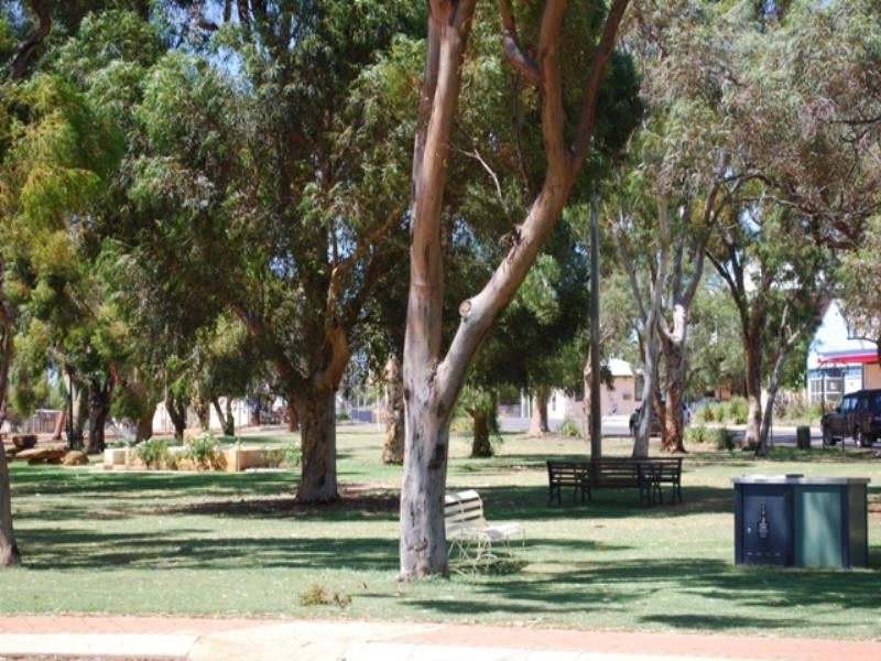 2 Bell Steet, Dalwallinu WA 6609