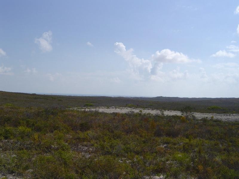 290 Pindari Place, Lancelin WA 6044