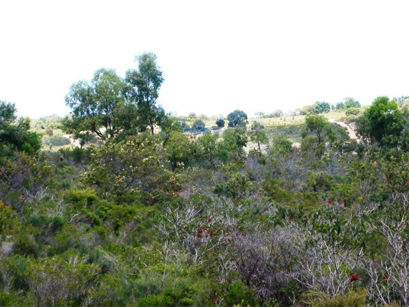 107 Ocean Farm Drive, Lancelin WA 6044