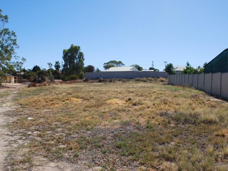23 Ganzer Street, Wongan Hills WA 6603