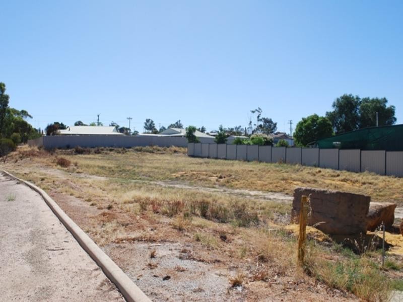 23 Ganzer Street, Wongan Hills WA 6603