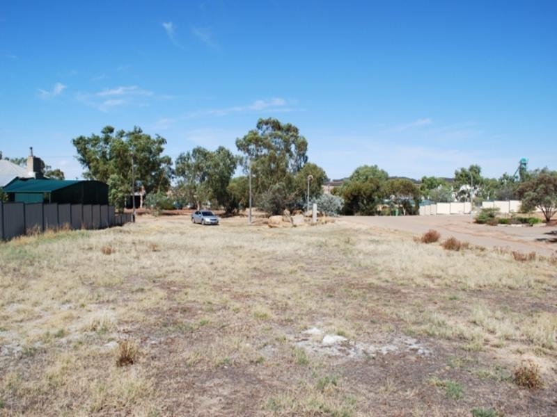 23 Ganzer Street, Wongan Hills WA 6603