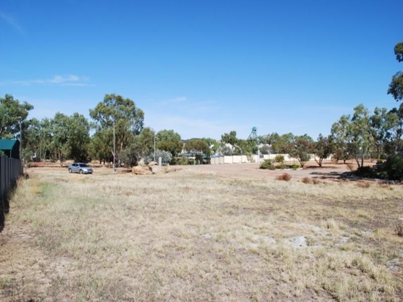 23 Ganzer Street, Wongan Hills WA 6603