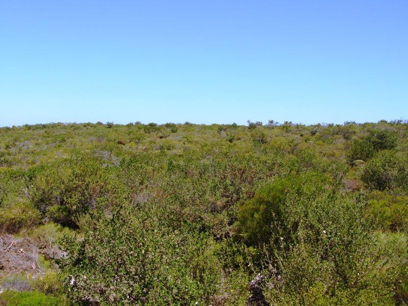 40 Indiana Crescent, Karakin WA 6044