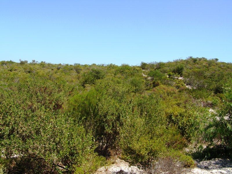 40 Indiana Crescent, Karakin WA 6044