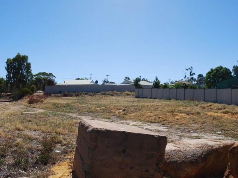 23 Ganzer Street, Wongan Hills WA 6603