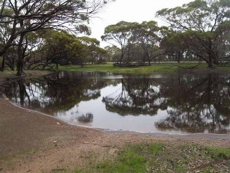 515 CATABY ROAD,, Dandaragan WA 6507