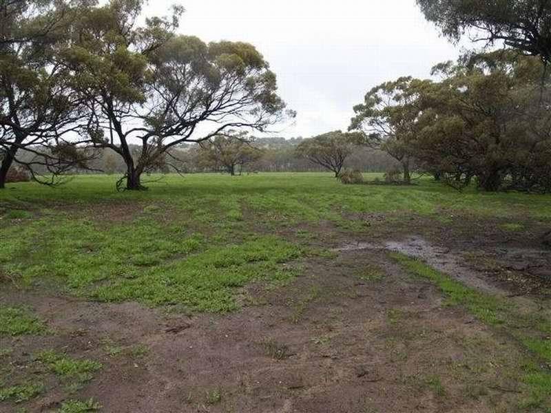 515 CATABY ROAD,, Dandaragan WA 6507