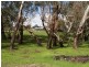 515 CATABY ROAD,, Dandaragan WA 6507