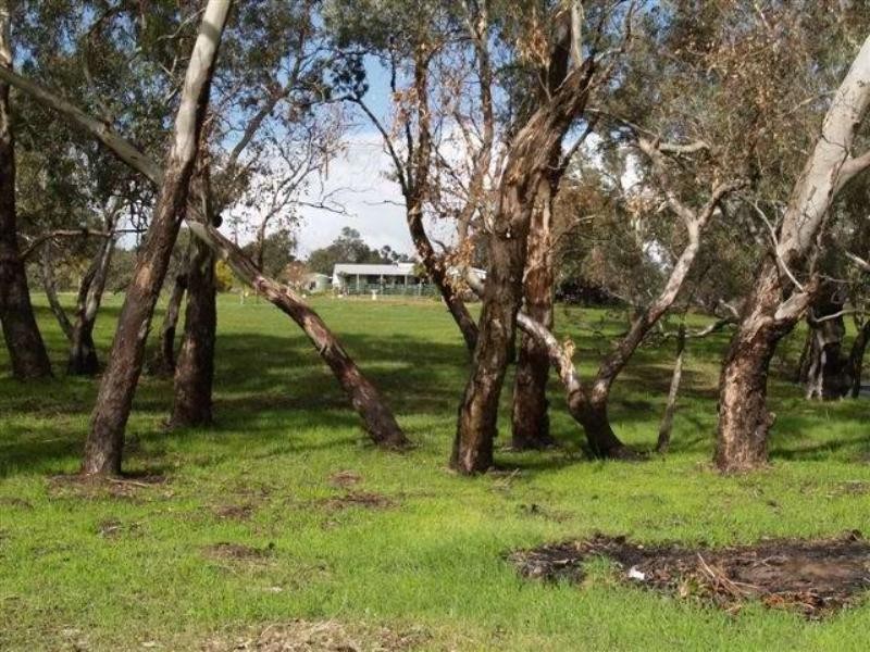 515 CATABY ROAD,, Dandaragan WA 6507