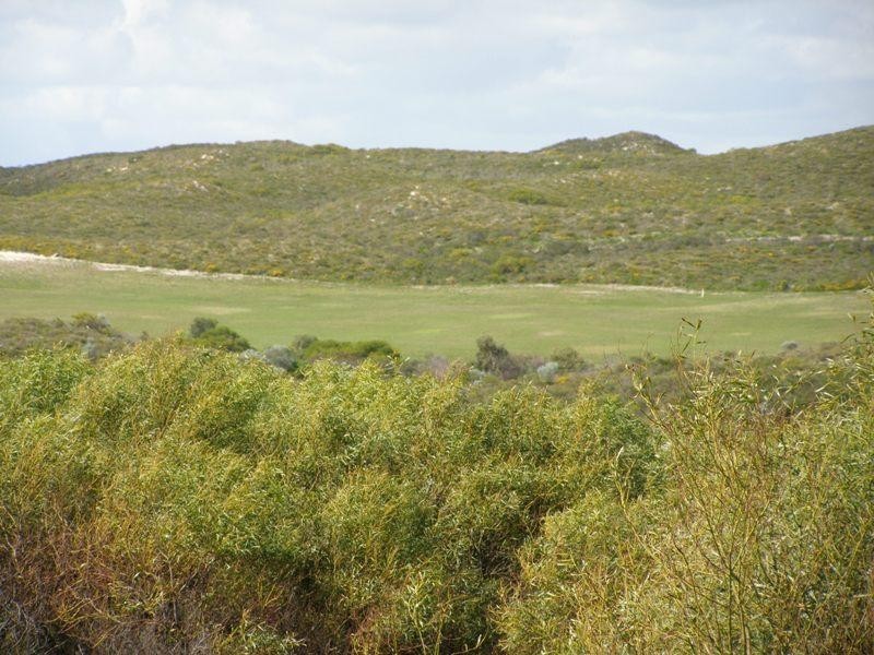 10 Wood Way, Ledge Point WA 6043