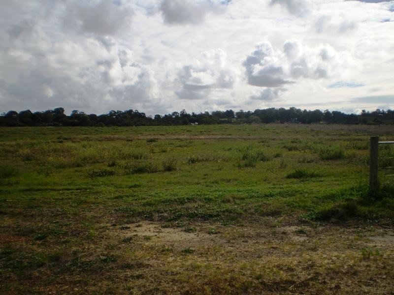 359 Hakea, Lancelin WA 6044