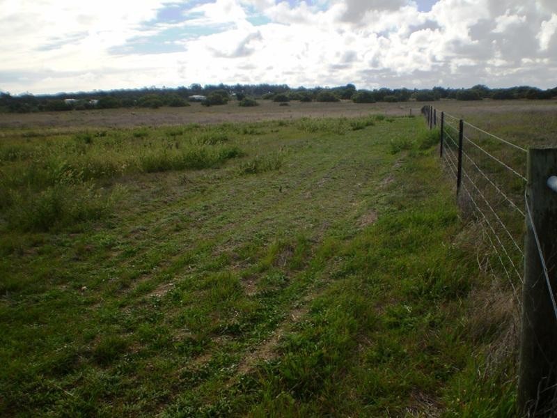 359 Hakea, Lancelin WA 6044