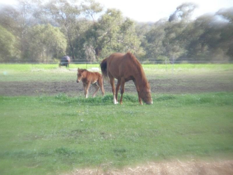 58 Ashby Road, Gingin WA 6503