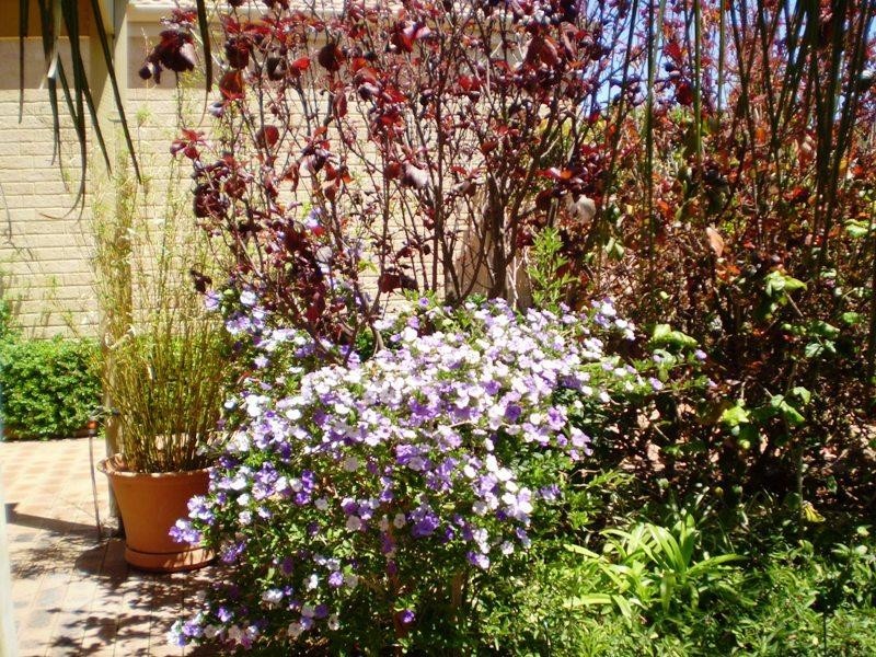 26 Chipping Drive, Woodridge WA 6041