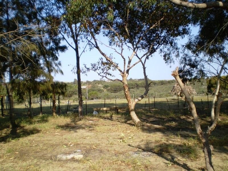 25 Kangaroo Way, Lancelin WA 6044