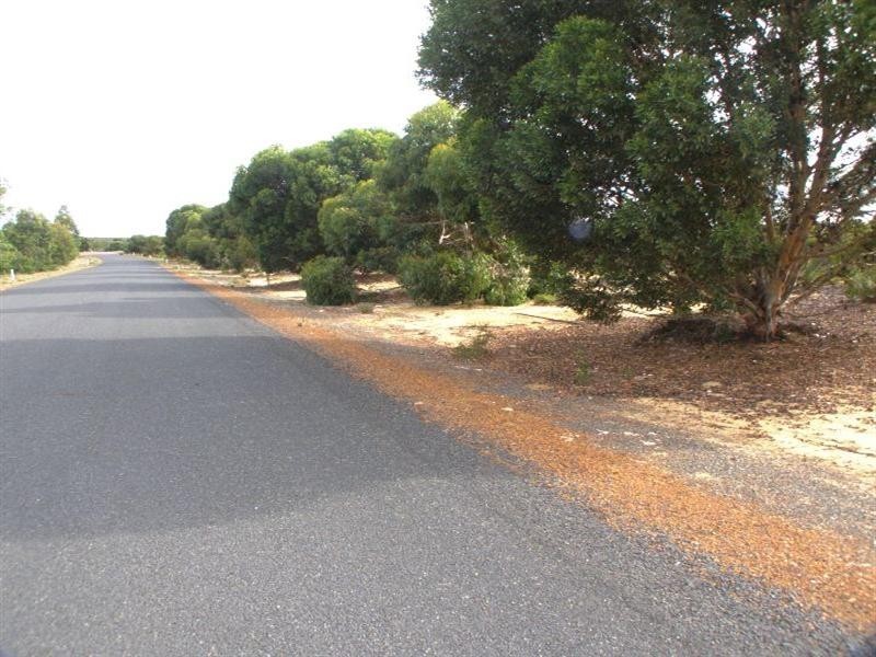 58 Seaview Drive, Karakin WA 6044