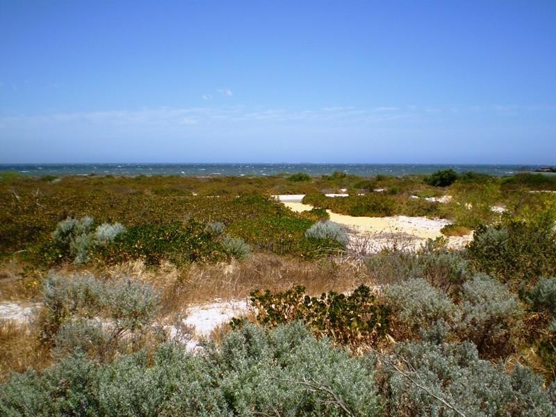 1 Craike Way, Green Head WA 6514