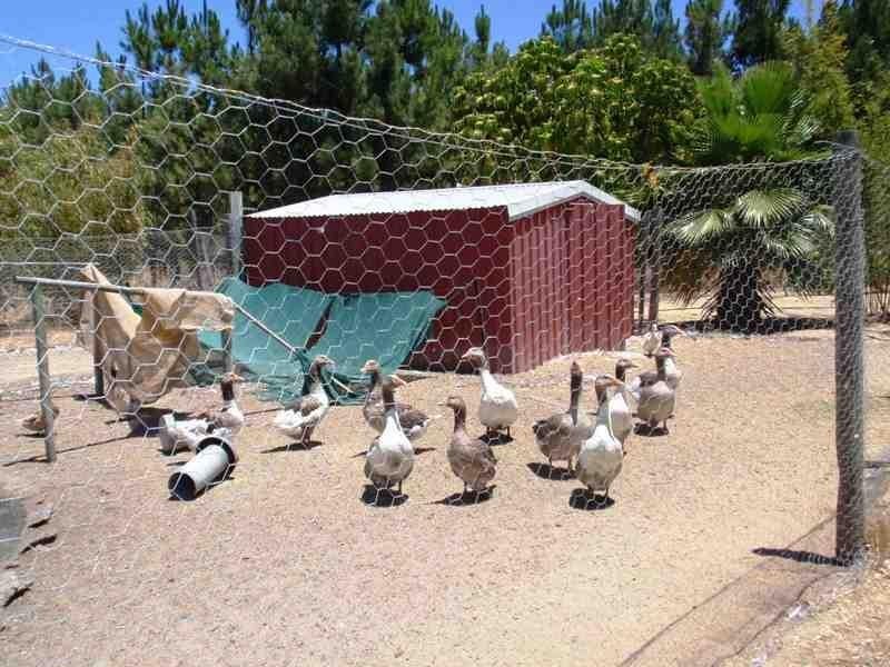 74 Sandalwood, Gabbadah WA 6041