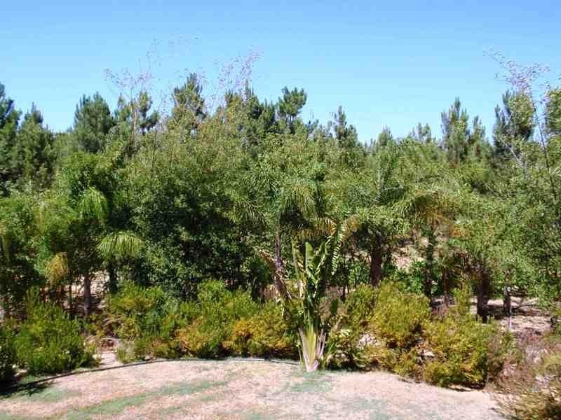 74 Sandalwood, Gabbadah WA 6041