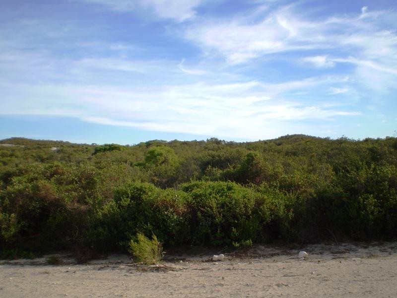 272 Seaview Drive, Karakin WA 6044