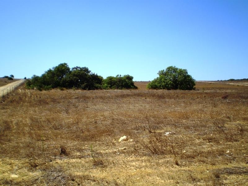 342 Agonis Close, Nilgen WA 6044