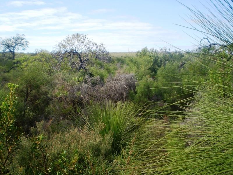 185 Wildflower Way, Karakin WA 6044