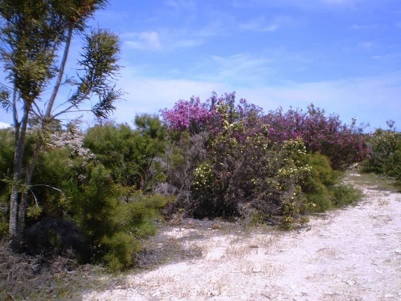 185 Wildflower Way, Karakin WA 6044