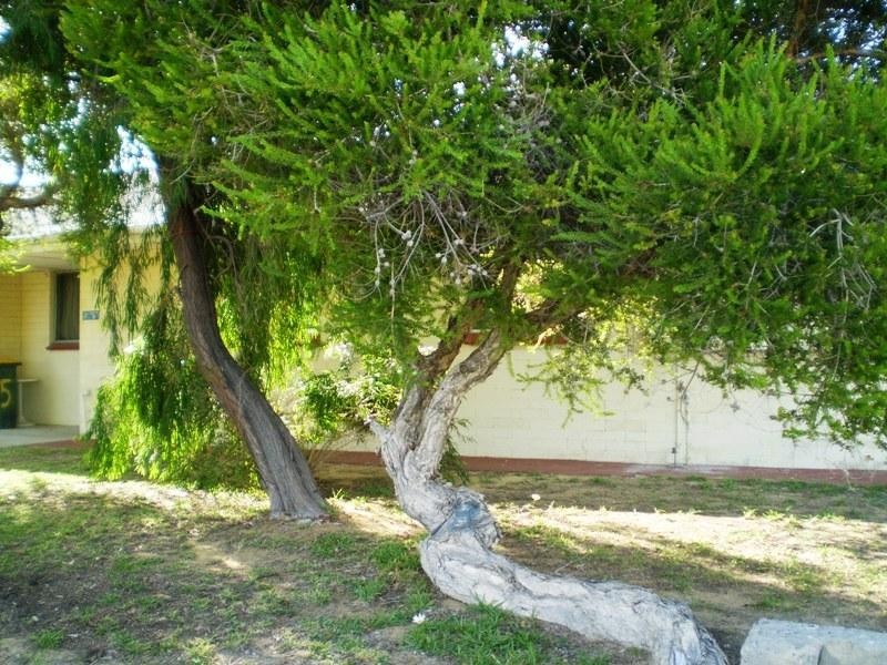 5/61 Atkinson Way, Lancelin WA 6044