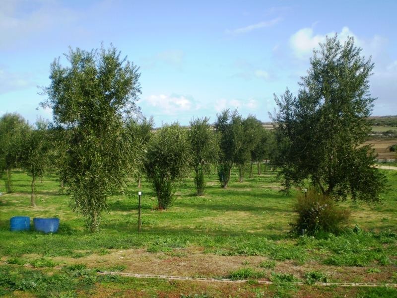 35 Sandalwood Road, Gabbadah WA 6041